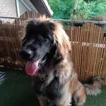 Ersteller:in Katrin Profilbild