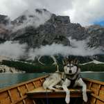 Ersteller:in Fabienne Profilbild