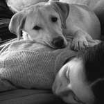 Ersteller:in Celine Profilbild