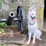 Ersteller:in Thomas Profilbild