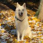 Ersteller:in Thomas Profilbild