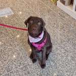 Ersteller:in Janin Profilbild