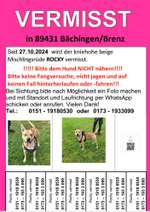 Suchmeldung-Rocky-Bild