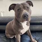 Ersteller:in Ellen Profilbild