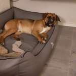 Ersteller:in Jörg Profilbild