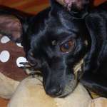 Ersteller:in Isabella Profilbild