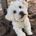 Ersteller:in Marie Profilbild