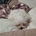 Ersteller:in Nina Profilbild