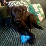 Ersteller:in Jing Profilbild