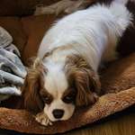 Ersteller:in Carsten Profilbild