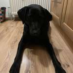 Ersteller:in Tanja Profilbild