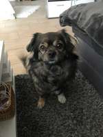 Wesensveränderung-Beitrag-Bild