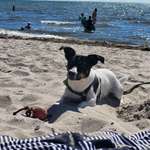 Ersteller:in Angelika Profilbild