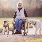 Ersteller:in Lisa Profilbild