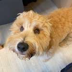 Ersteller:in Jana Profilbild