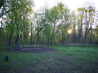 Hundeauslaufgebiet-Forsthaus Specht-Bild