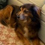 Suchmeldung-Yebo-Bild