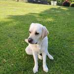 Ersteller:in Sina Profilbild