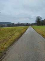 Hundeauslaufgebiet-Heuwiese Fronberg/Schwandorf-Bild