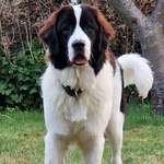 Ersteller:in Jennifer Profilbild