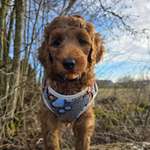 Ersteller:in Elisabeth Profilbild