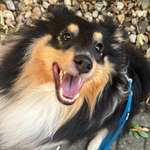 Ersteller:in Juliane und Stefan Profilbild