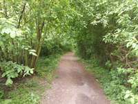 Hundeauslaufgebiet-Flugplatz Finow-Bild