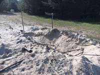 Hundeauslaufgebiet-Flugplatz Finow-Bild