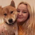 Ersteller:in Stelli Profilbild