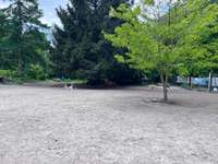 Hundeauslaufgebiet-Unser Hundegarten-Bild