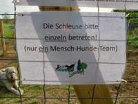 Hundeauslaufgebiet-Unser Hundegarten Fröndenberg-Bild