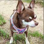 Ersteller:in ReNa Wauz Profilbild