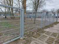 Hundeauslaufgebiet-Tobefläche-Bild