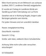 Suchmeldung-Sammy-Bild