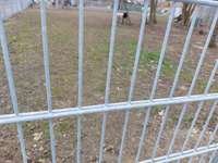 Hundeauslaufgebiet-Tobefläche-Bild