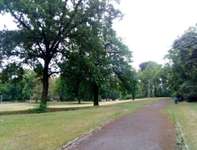 Hundeauslaufgebiet-Bellevuepark Köpenick-Bild