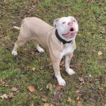 Ersteller:in Cem Profilbild