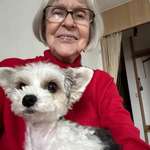Ersteller:in Elsbeth Profilbild