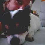 Ersteller:in Susan Profilbild