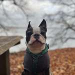 Ersteller:in Nina Profilbild