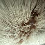 Was ist das?-Beitrag-Bild