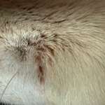 Was ist das?-Beitrag-Bild