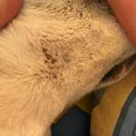 Was ist das?-Beitrag-Bild
