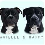 Ersteller:in Carolin Profilbild