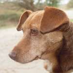 Ersteller:in Eva Profilbild