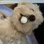 Ersteller:in Nabeel Profilbild