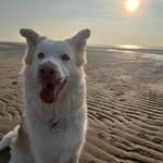 Ersteller:in Florian Profilbild