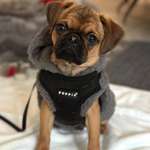 Ersteller:in Lara Profilbild