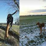 Ersteller:in Bella Profilbild