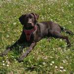 Ersteller:in Mia Profilbild